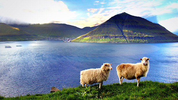 Forår og Sensommer på Færøerne